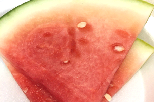 Watermelon-Medilodge-of-east-lansing